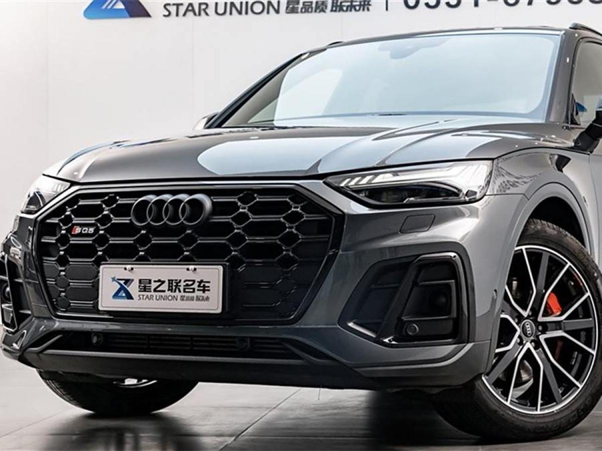 奧迪 奧迪SQ5  2014款 SQ5 3.0 TFSI quattro圖片