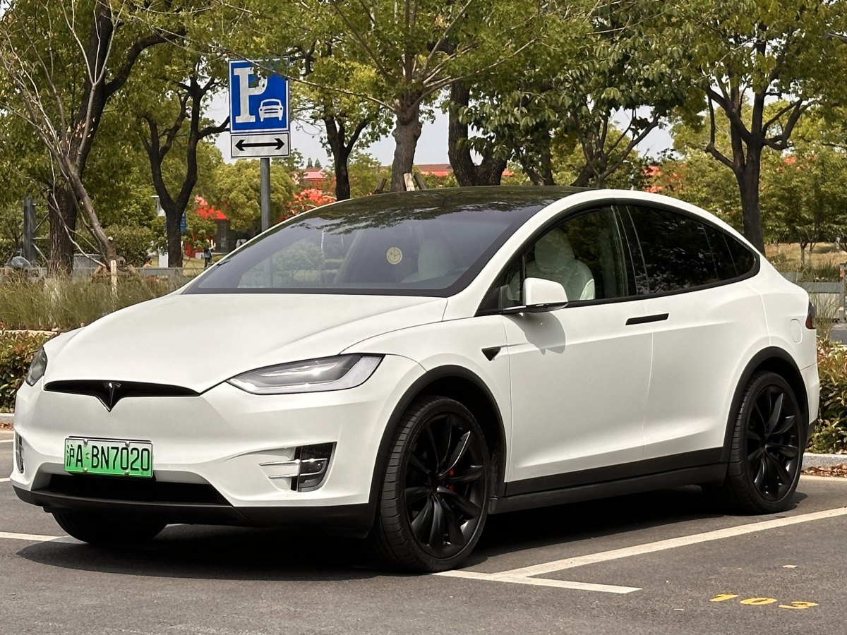 特斯拉 Model X  2020款 Performance 高性能版圖片
