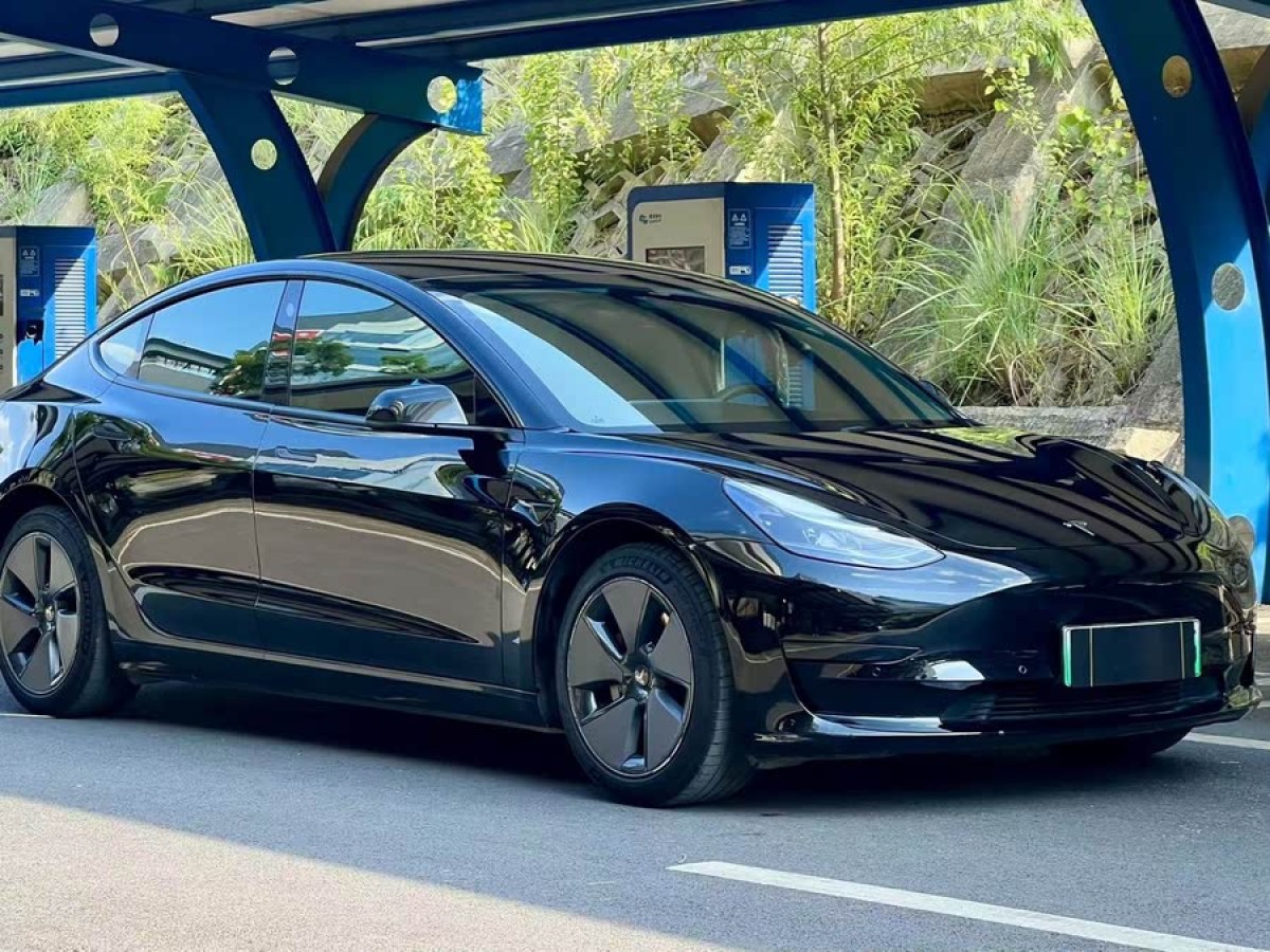 特斯拉 Model 3  2021款 改款 標(biāo)準(zhǔn)續(xù)航后驅(qū)升級版圖片