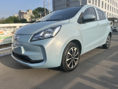 2022年1月 長安 奔奔E-Star 國民版 多彩款 磷酸鐵鋰（31.86kWh）圖片
