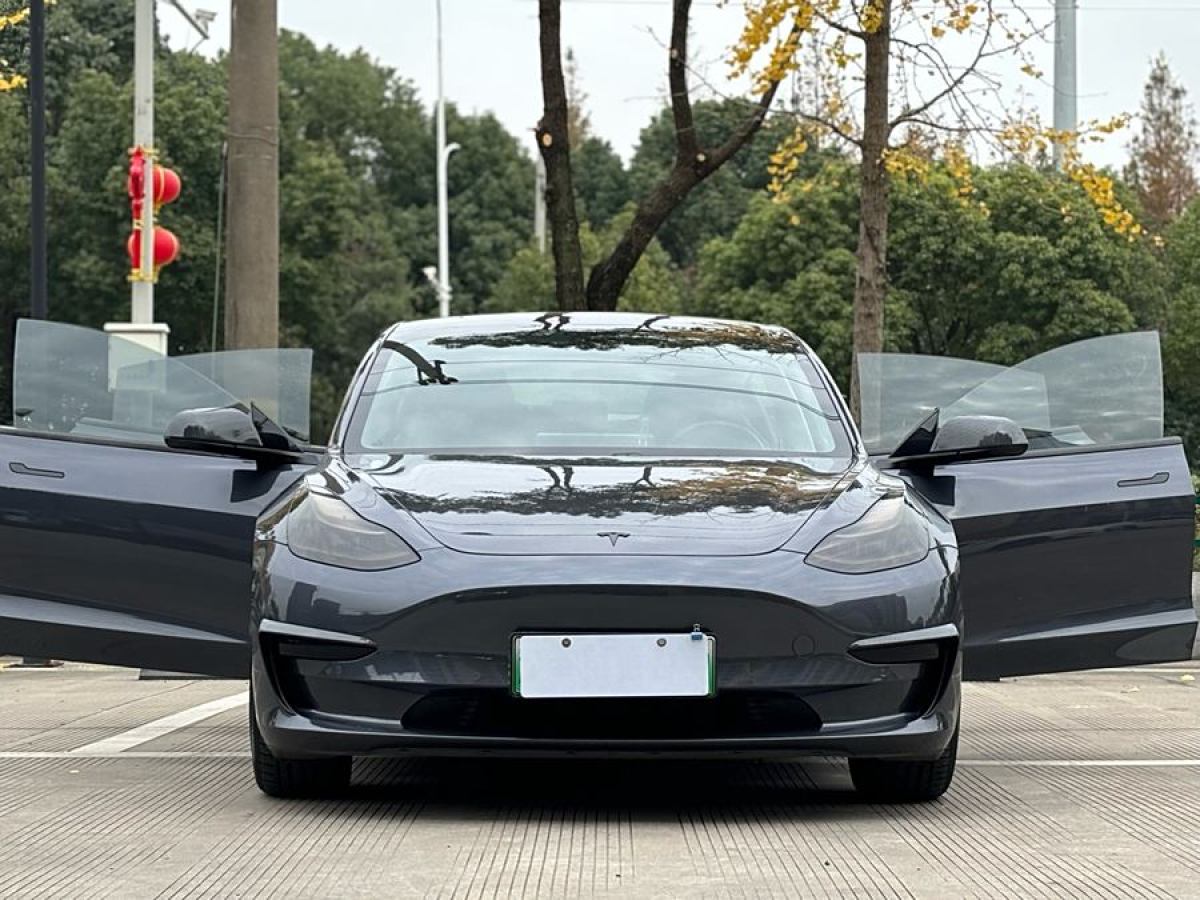 特斯拉 Model 3  2021款 改款 標準續(xù)航后驅(qū)升級版圖片