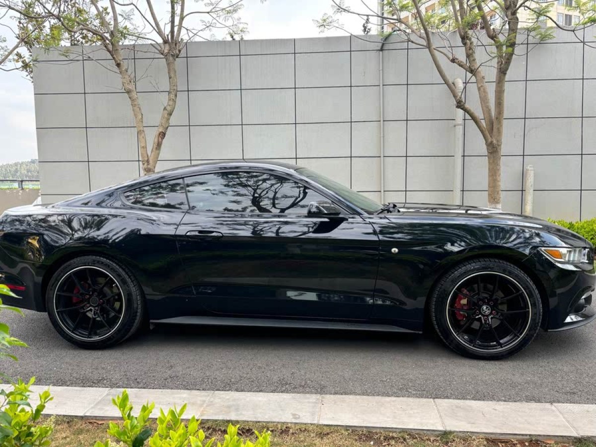 福特 Mustang  2015款 2.3T 性能版圖片