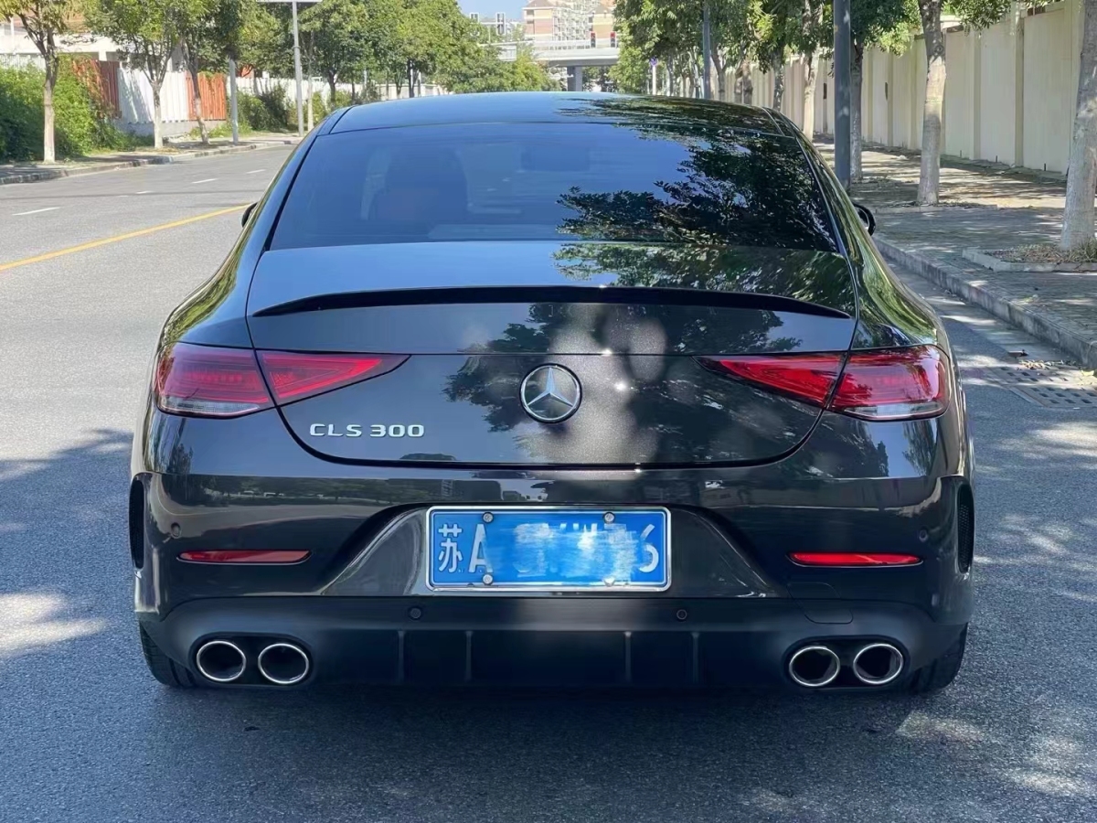 奔馳 奔馳CLS級(jí)  2023款 改款 CLS 300 豪華型圖片