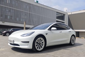Model 3 特斯拉 后輪驅(qū)動(dòng)版