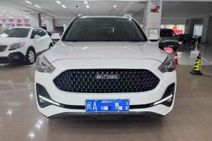 H6 哈弗 2.0GDIT 自動(dòng)GT冠軍版