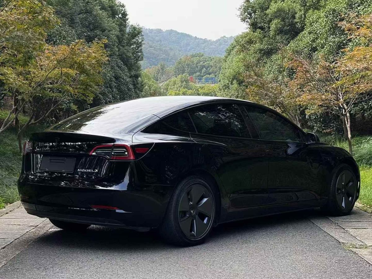 特斯拉 Model 3  2022款 Performance高性能全輪驅(qū)動(dòng)版圖片