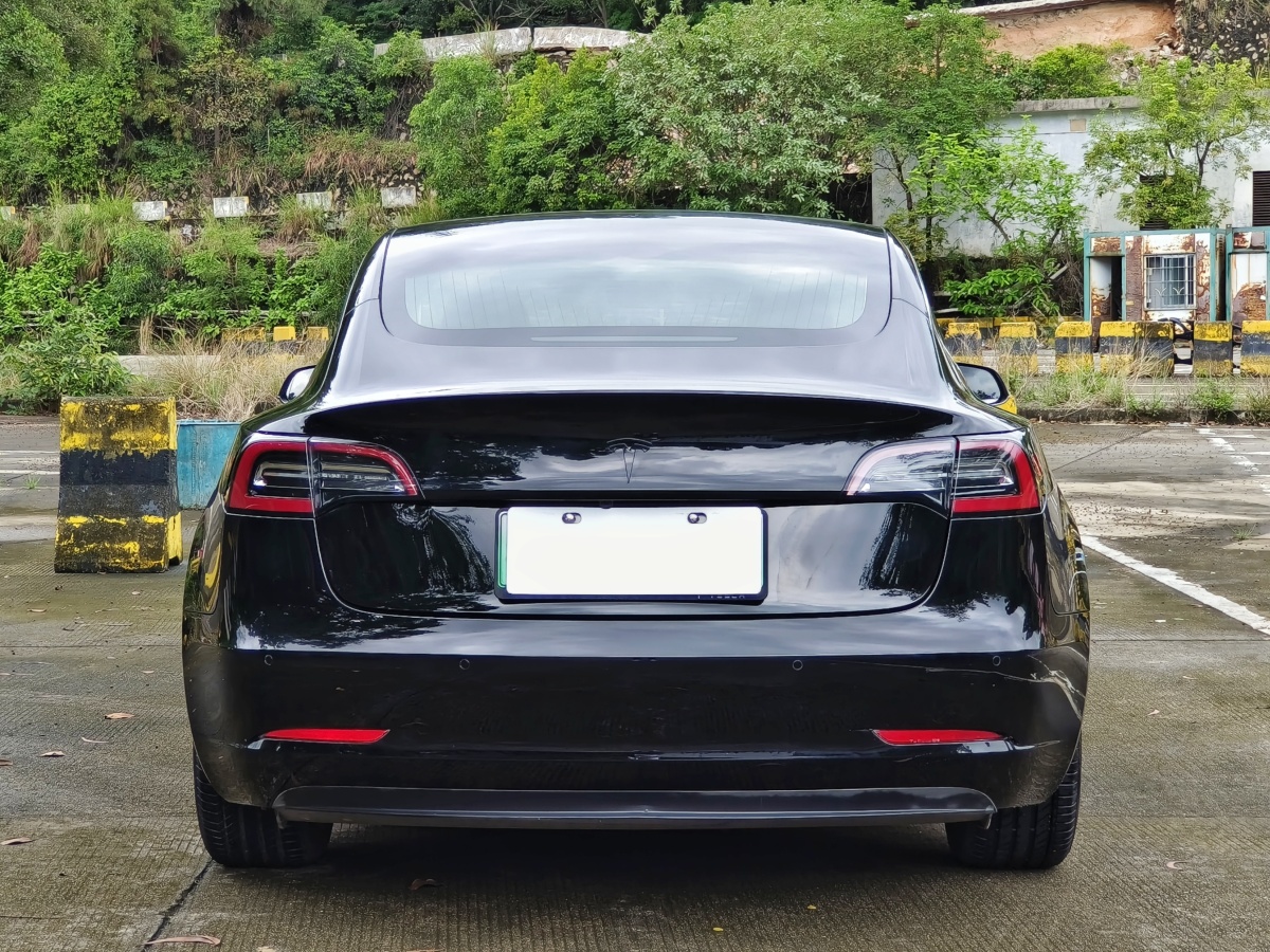 特斯拉 Model 3  2019款 標(biāo)準(zhǔn)續(xù)航后驅(qū)升級(jí)版圖片