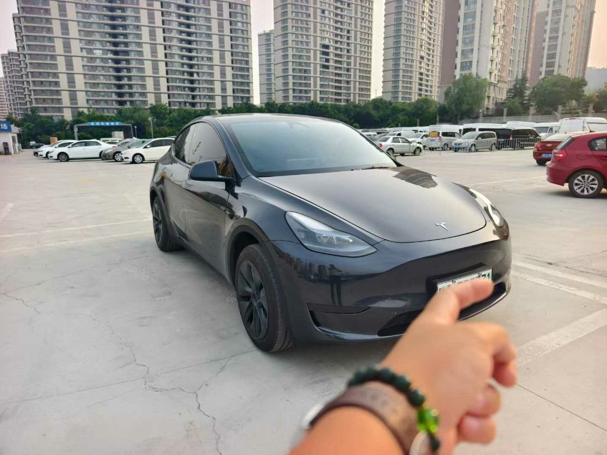 特斯拉 Model Y  2024款 Performance高性能版圖片