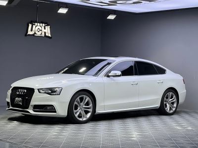 2015年11月 奧迪 奧迪S5(進(jìn)口) S5 3.0T Sportback圖片