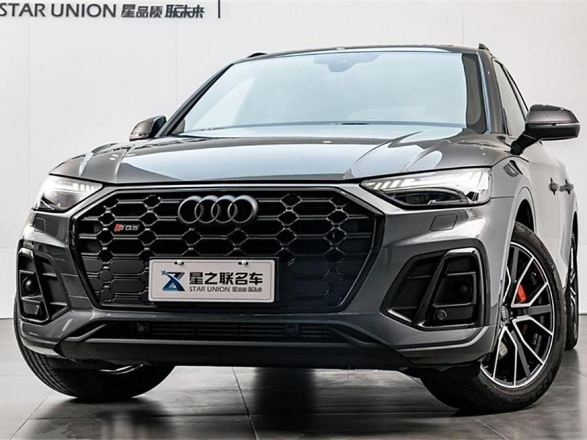 奧迪 奧迪SQ5  2014款 SQ5 3.0 TFSI quattro圖片