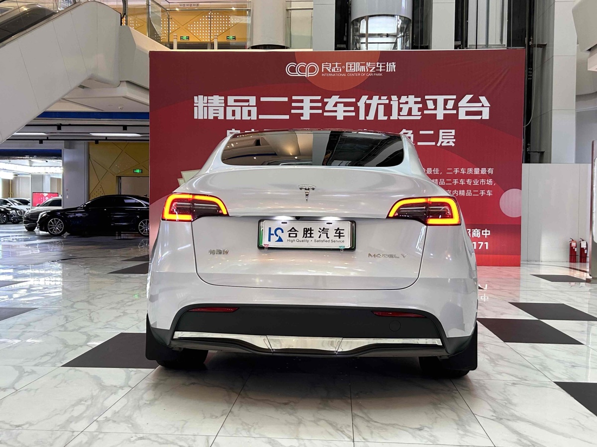 特斯拉 Model Y  2020款 改款 長續(xù)航后輪驅(qū)動版圖片