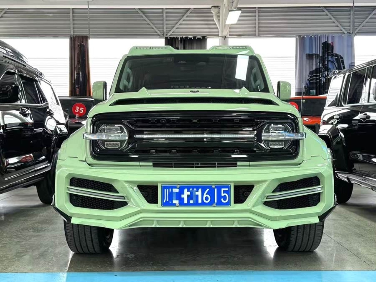 坦克 坦克300  2023款 城市版 2.0T 很有型圖片
