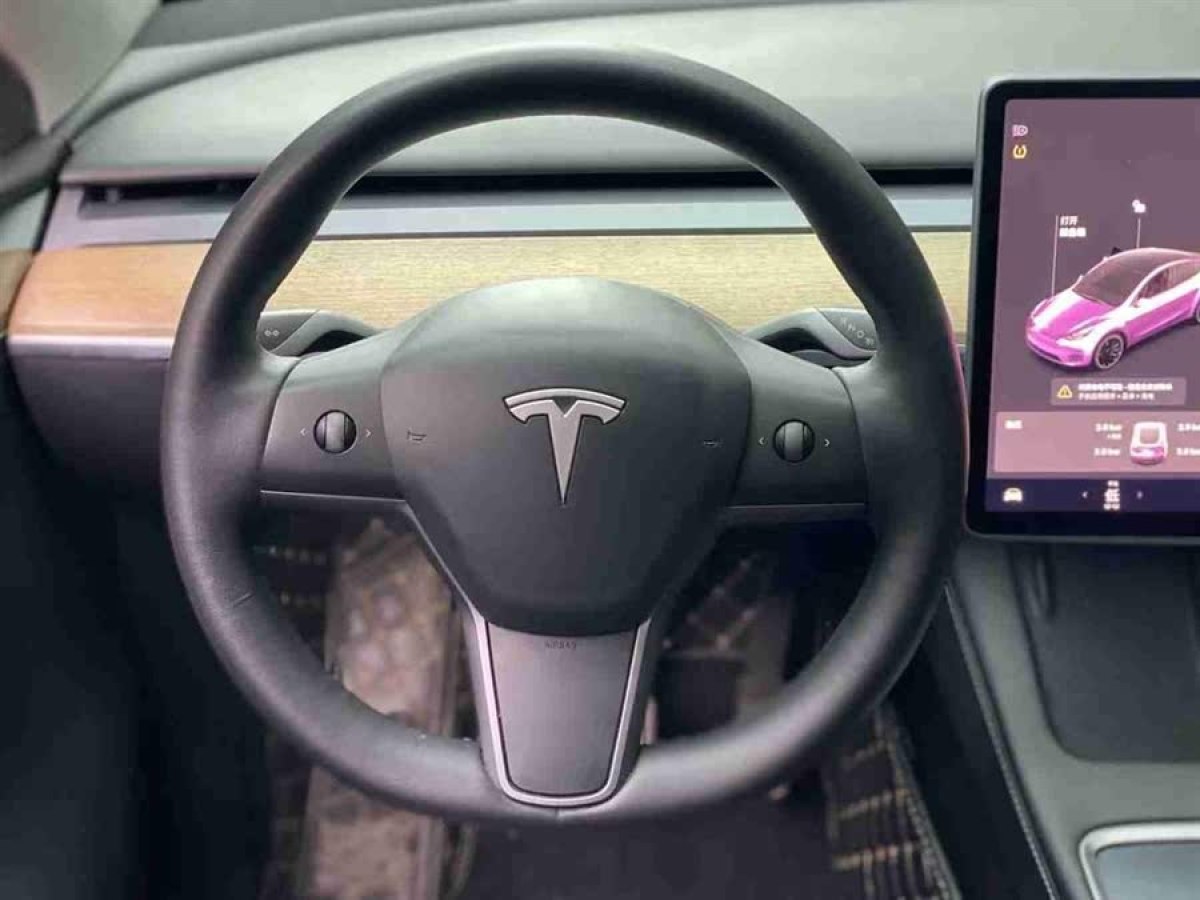 特斯拉 Model Y  2021款 標(biāo)準(zhǔn)續(xù)航后驅(qū)版圖片