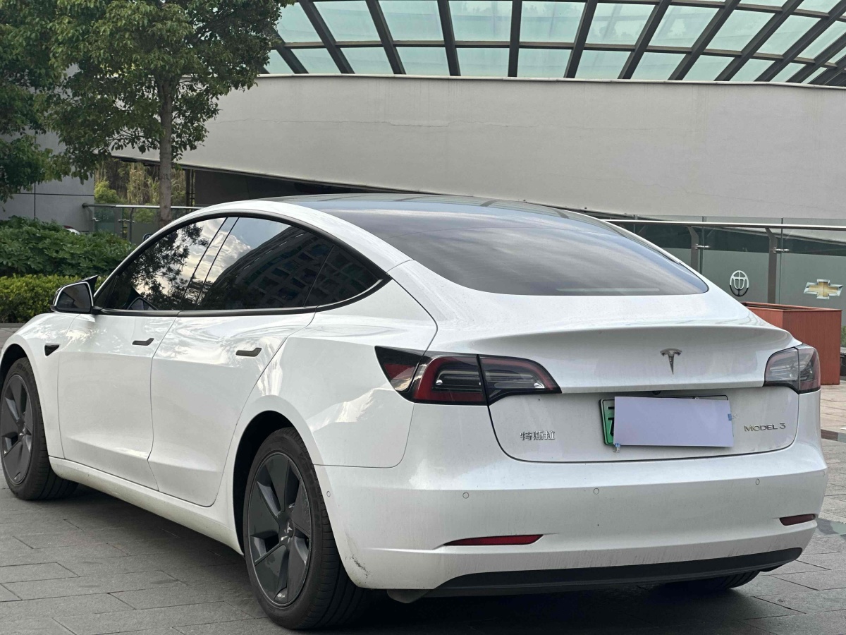 特斯拉 Model 3  2021款 改款 標準續(xù)航后驅升級版圖片