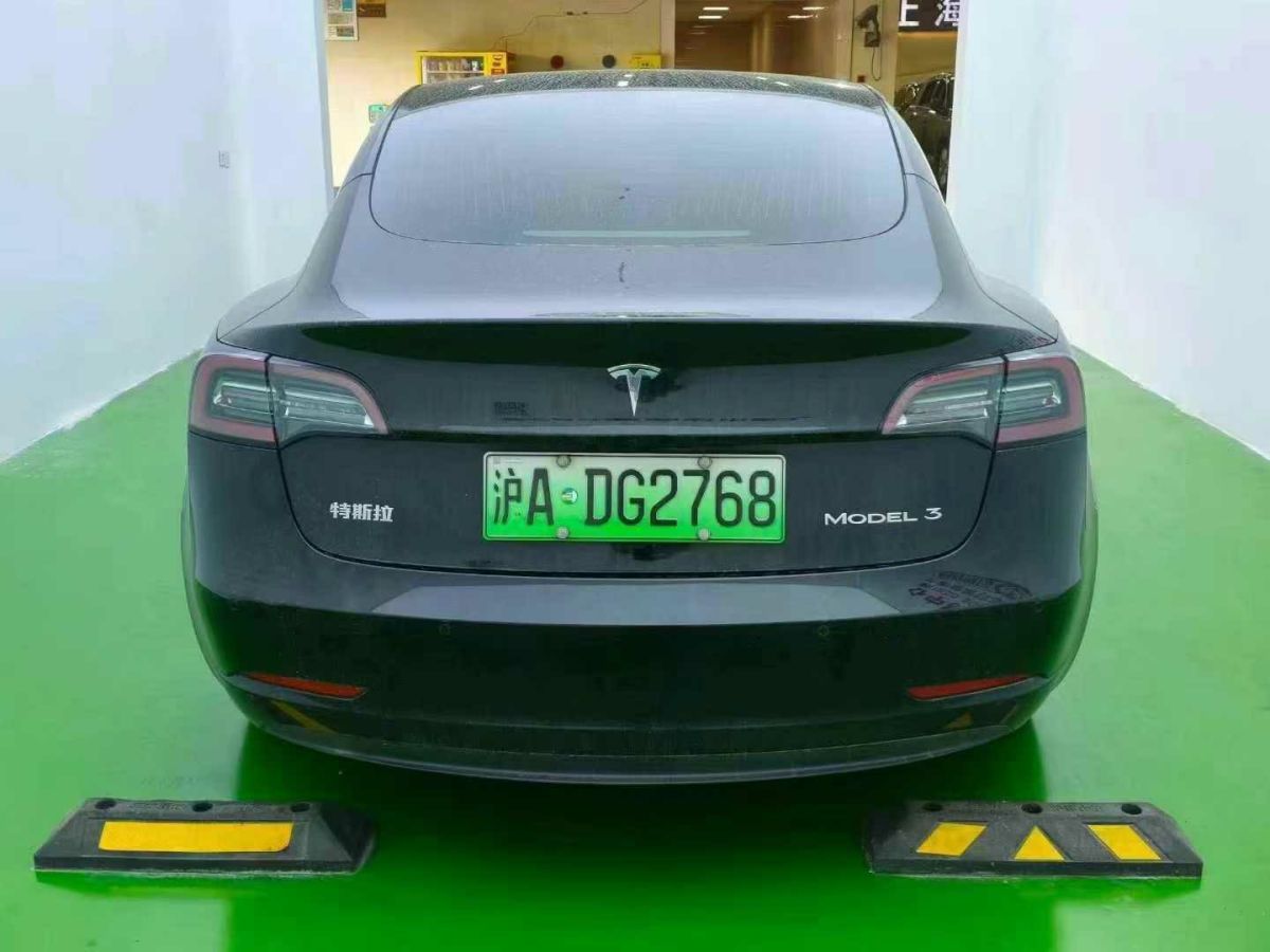 特斯拉 Model X  2020款 Performance 高性能版圖片