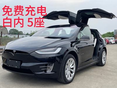 2020年1月 特斯拉 Model X 长续航版图片