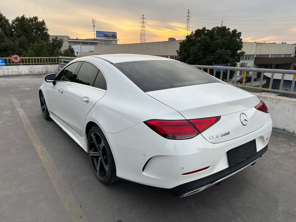 奔馳 奔馳CLS級  2020款 CLS 300 動感型圖片