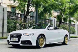 奧迪S5 奧迪 S5 3.0T Cabriolet