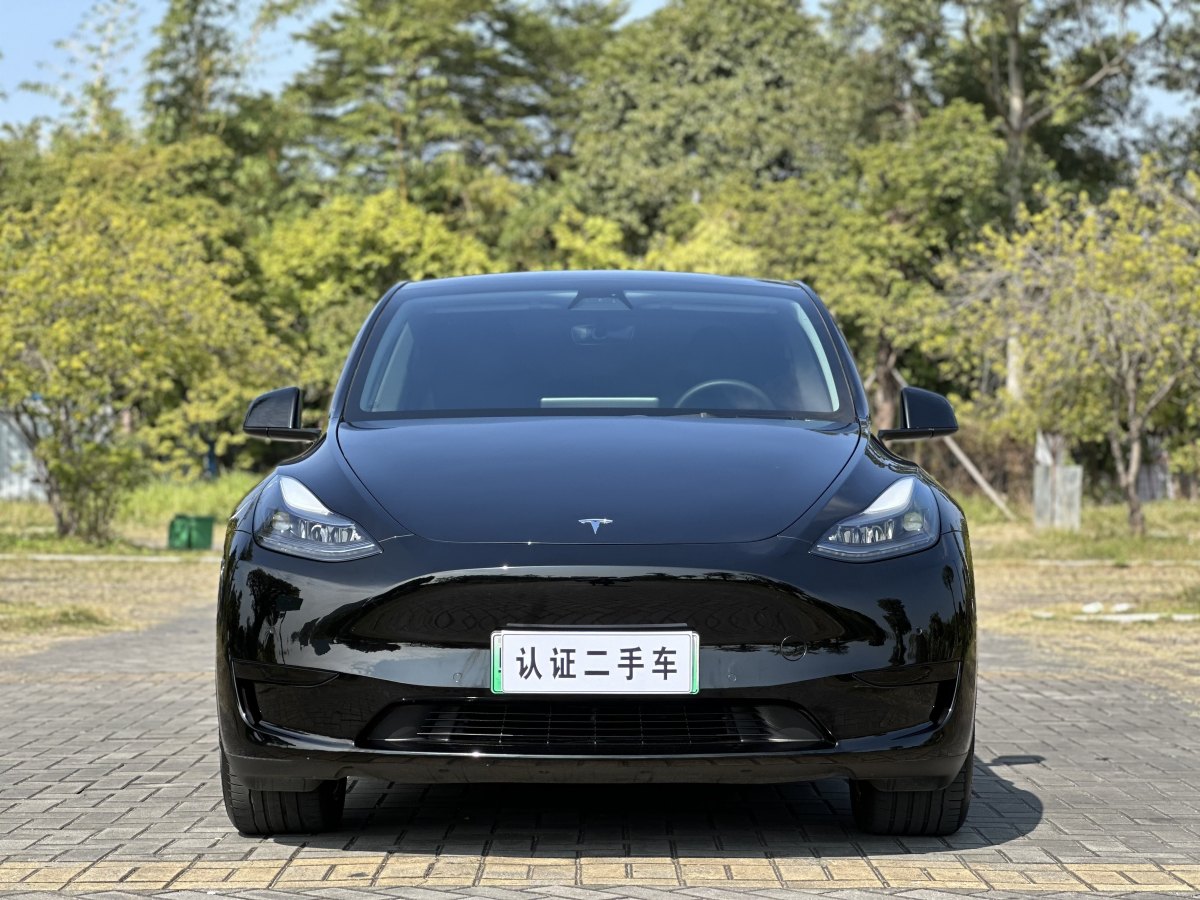 特斯拉 Model 3  2020款 改款 長續(xù)航后輪驅(qū)動版圖片