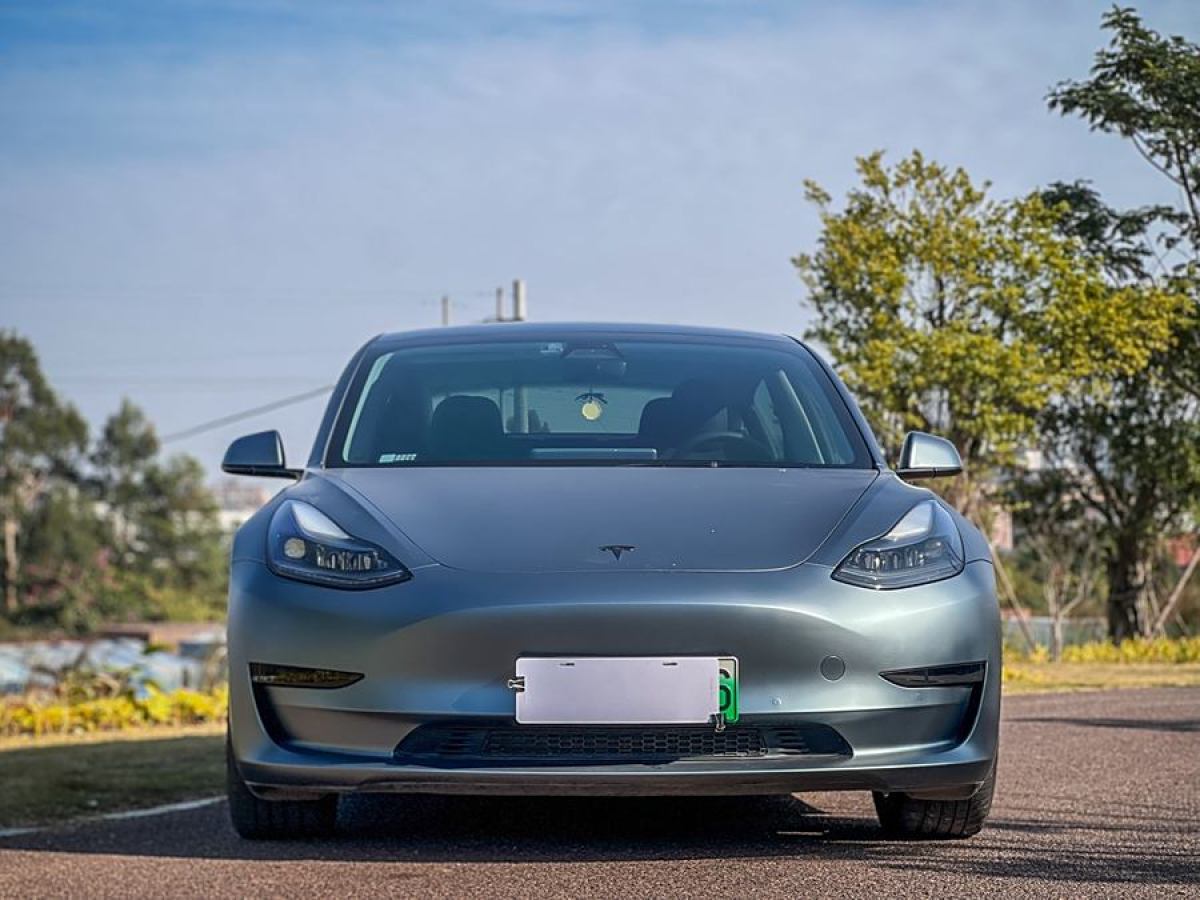 特斯拉 Model 3  2021款 改款 標(biāo)準(zhǔn)續(xù)航后驅(qū)升級版圖片