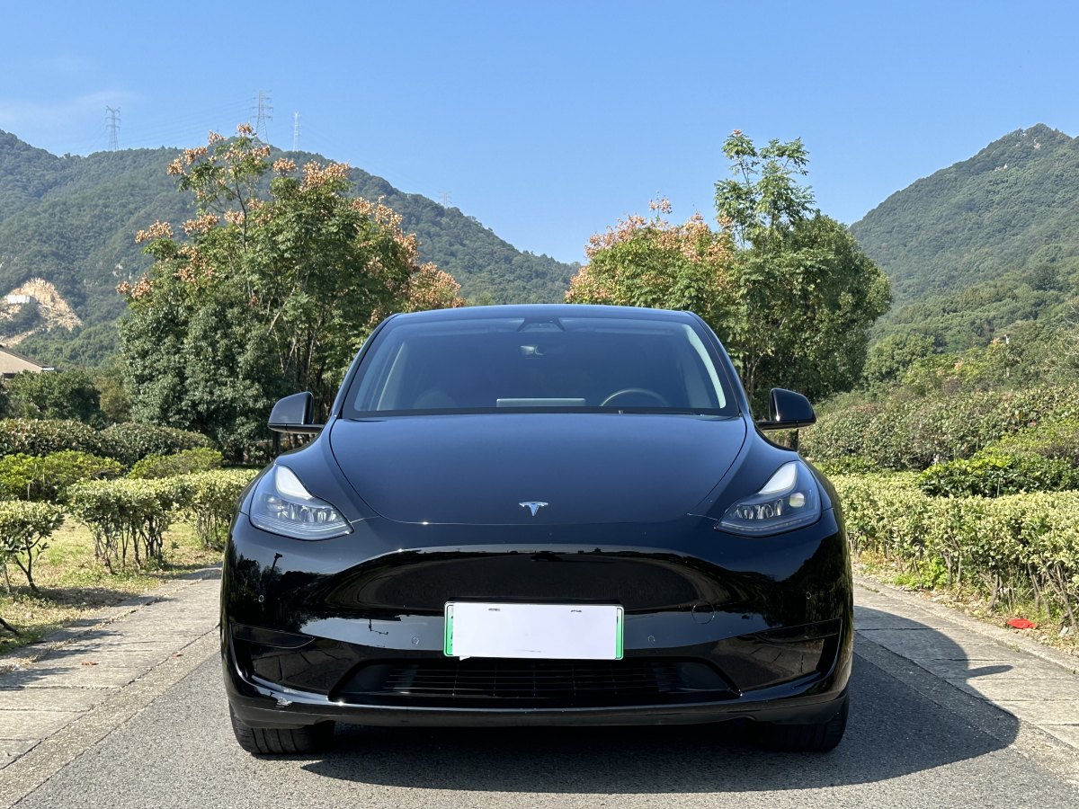 特斯拉 Model Y  2022款 后輪驅(qū)動版圖片