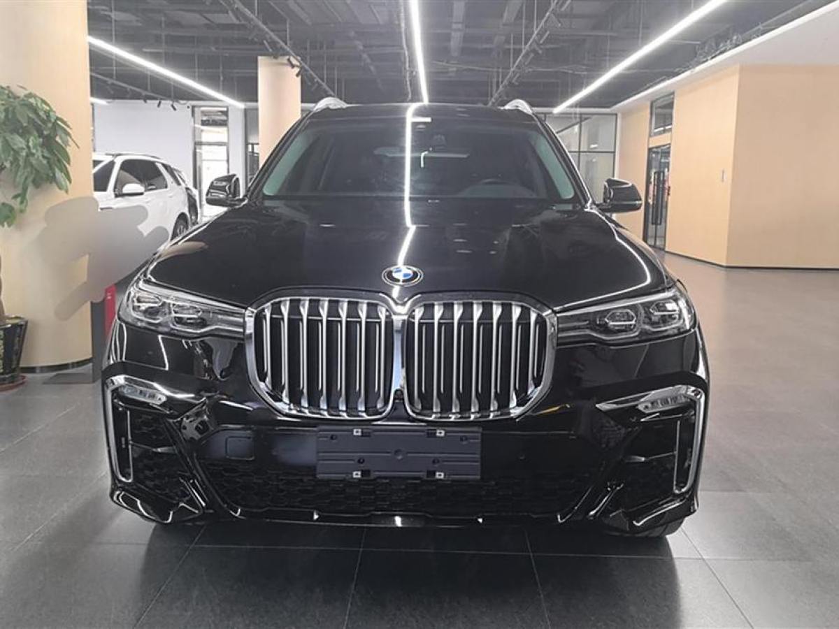 寶馬 寶馬X7  2020款 xDrive40i 領(lǐng)先型豪華套裝圖片