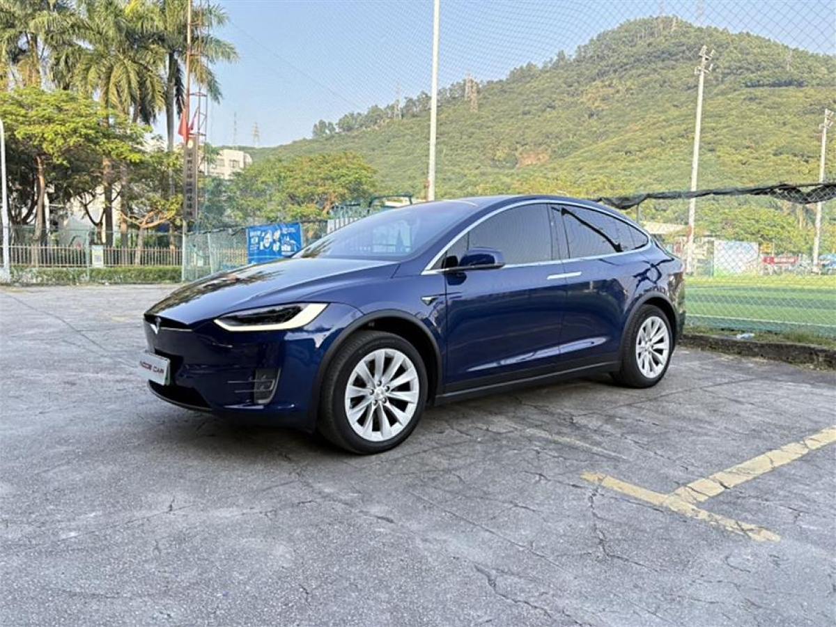 特斯拉 Model X  2020款 長續(xù)航升級版圖片