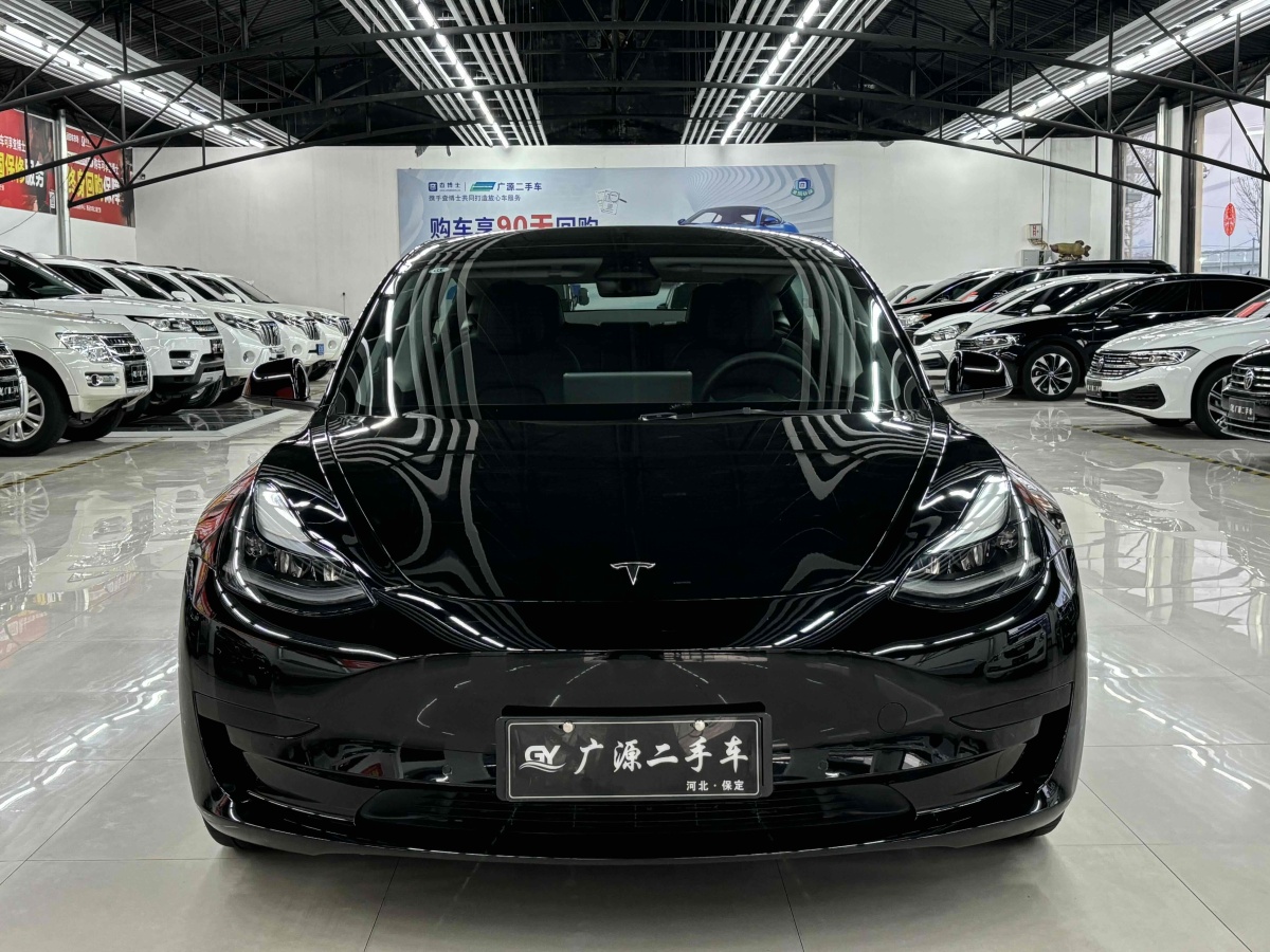 特斯拉 Model 3  2021款 標(biāo)準(zhǔn)續(xù)航后驅(qū)升級版 3D6圖片