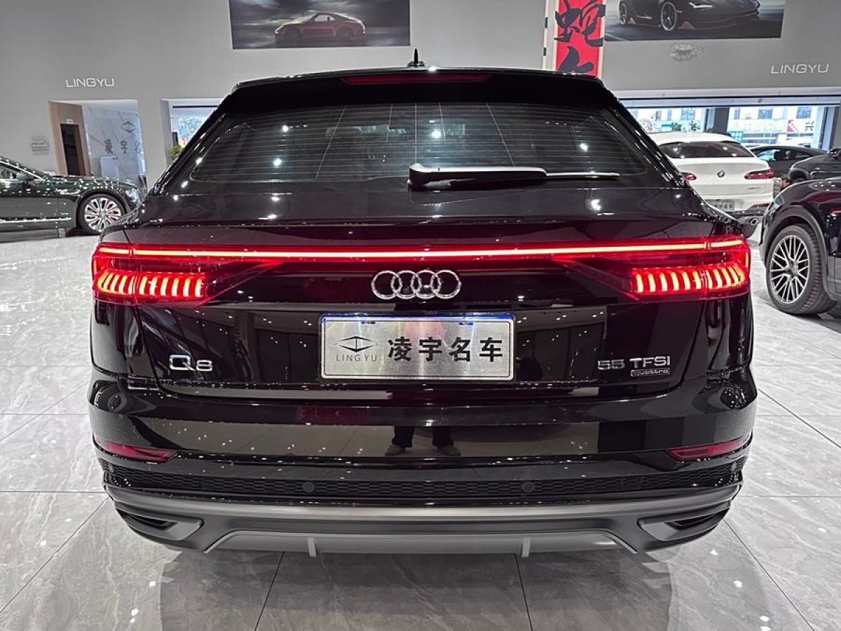 奧迪 奧迪Q8  2023款 55 TFSI 豪華動(dòng)感型圖片