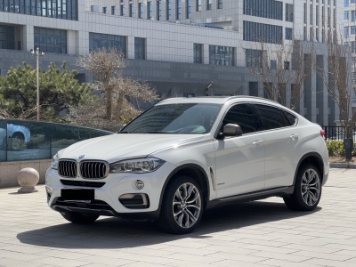 2017年1月 寶馬 寶馬X6(進口) xDrive35i 領(lǐng)先型圖片