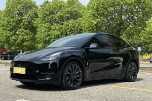 Model Y 特斯拉 高性能全輪驅(qū)動(dòng)版