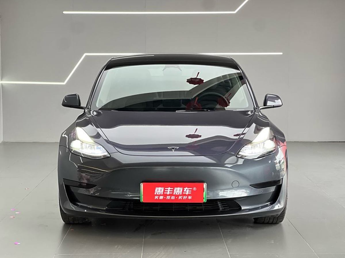 特斯拉 Model 3  2021款 改款 標(biāo)準(zhǔn)續(xù)航后驅(qū)升級(jí)版圖片