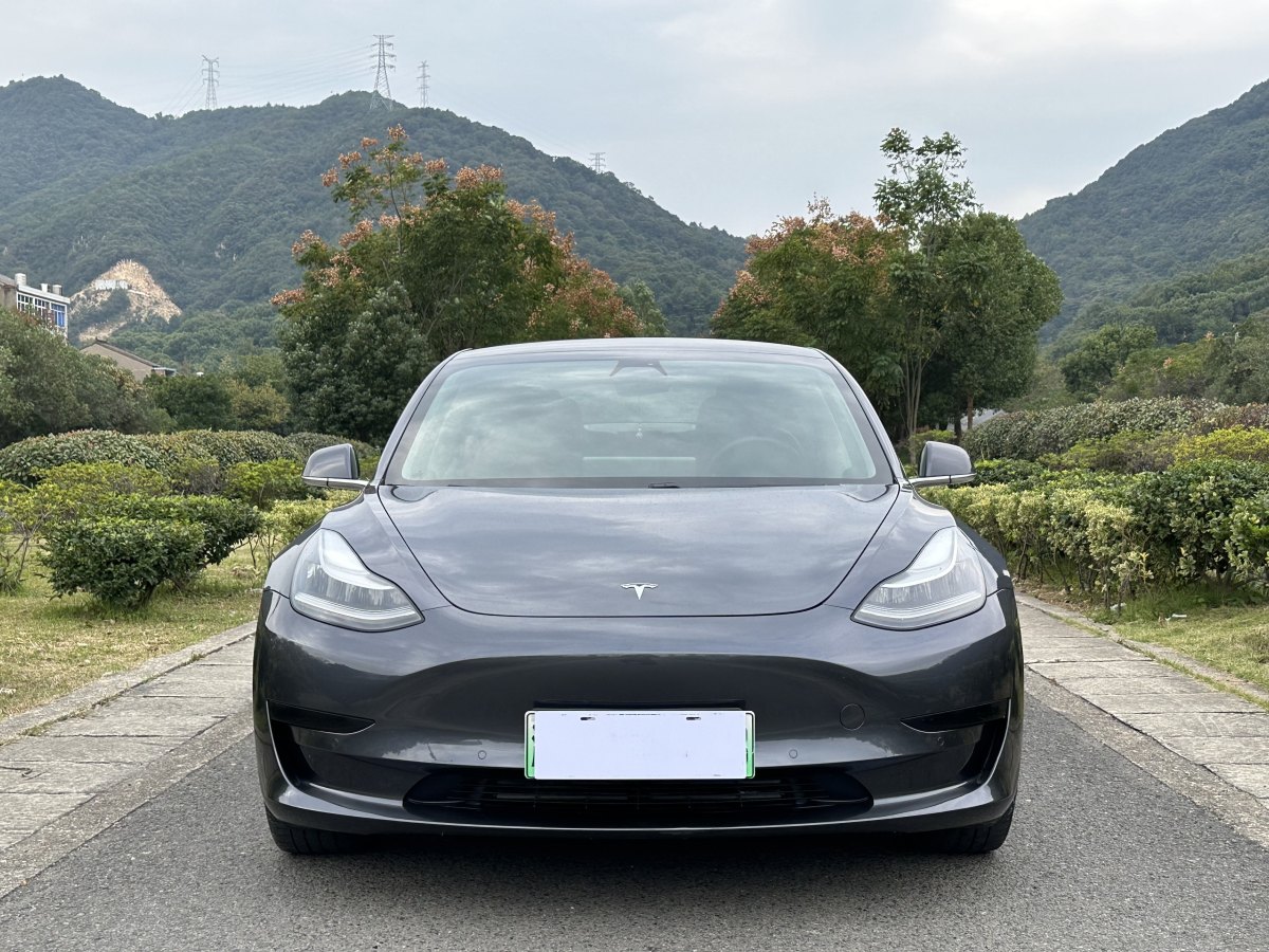 特斯拉 Model 3  2019款 標準續(xù)航后驅(qū)升級版圖片