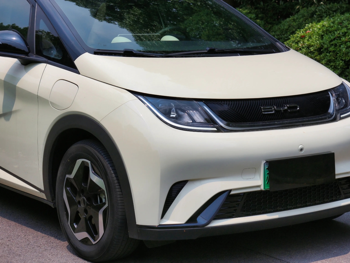 比亞迪 海豚  2021款 405km 時(shí)尚版圖片