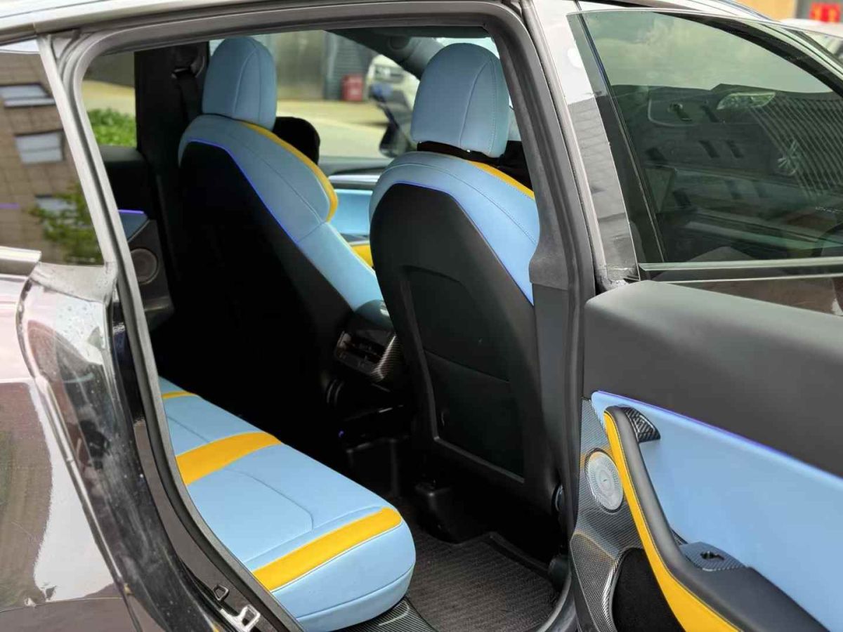 特斯拉 Model Y  2022款 Performance高性能全輪驅(qū)動版圖片