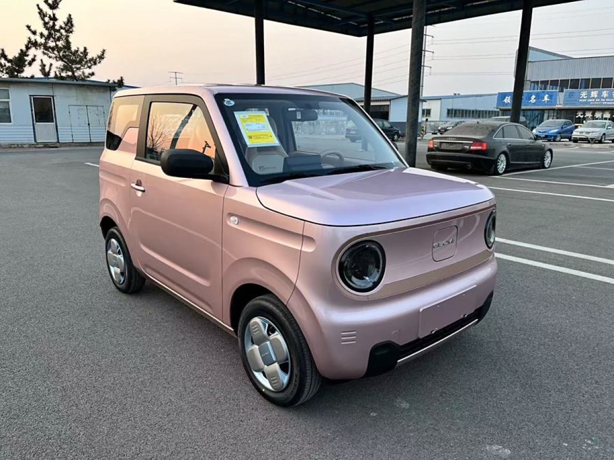 吉利 熊貓mini  2023款 200km 耐力熊圖片