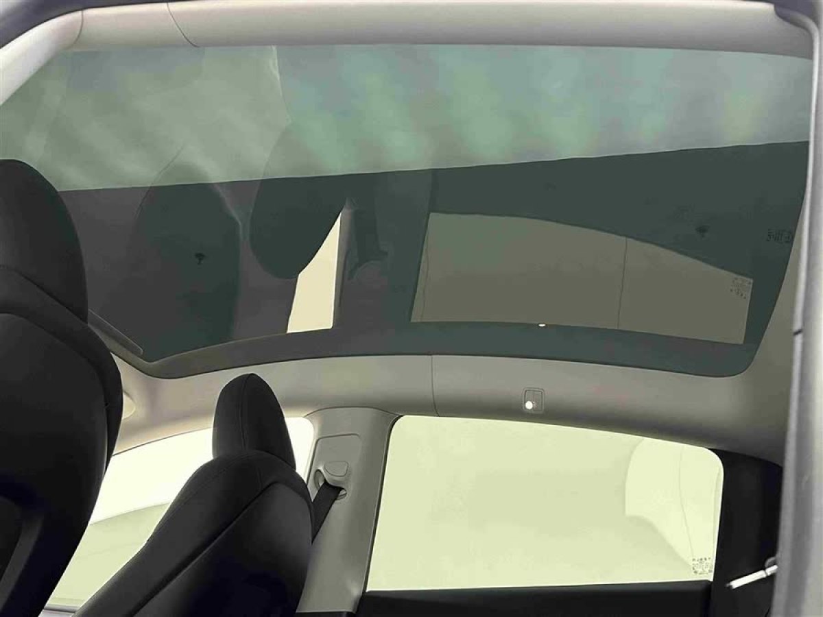 特斯拉 Model Y  2024款 長續(xù)航全輪驅動版圖片