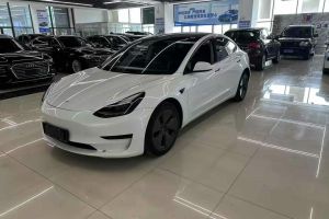 Model S 特斯拉 Performance 高性能版