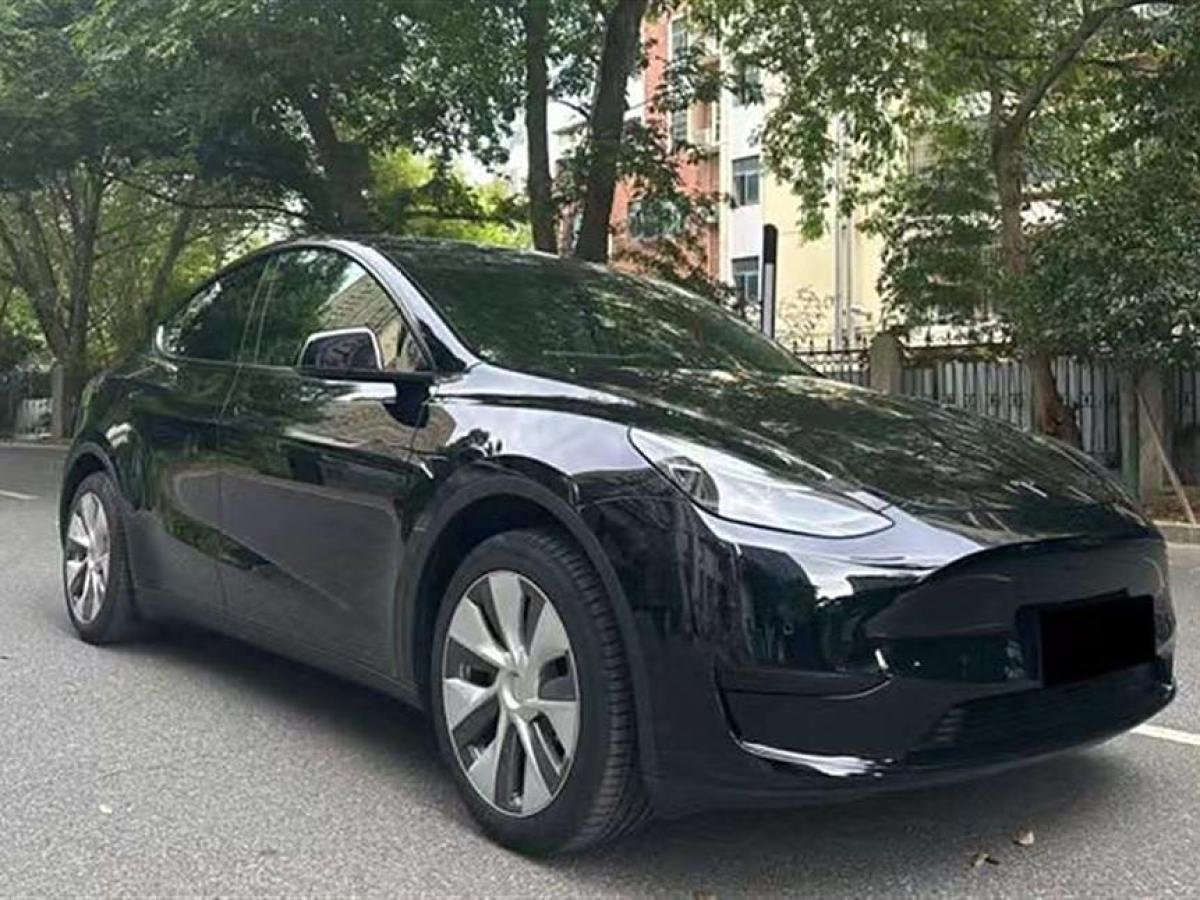 特斯拉 Model 3  2022款 后輪驅(qū)動(dòng)版圖片