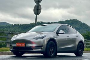 Model Y 特斯拉 改款 长续航后轮驱动版