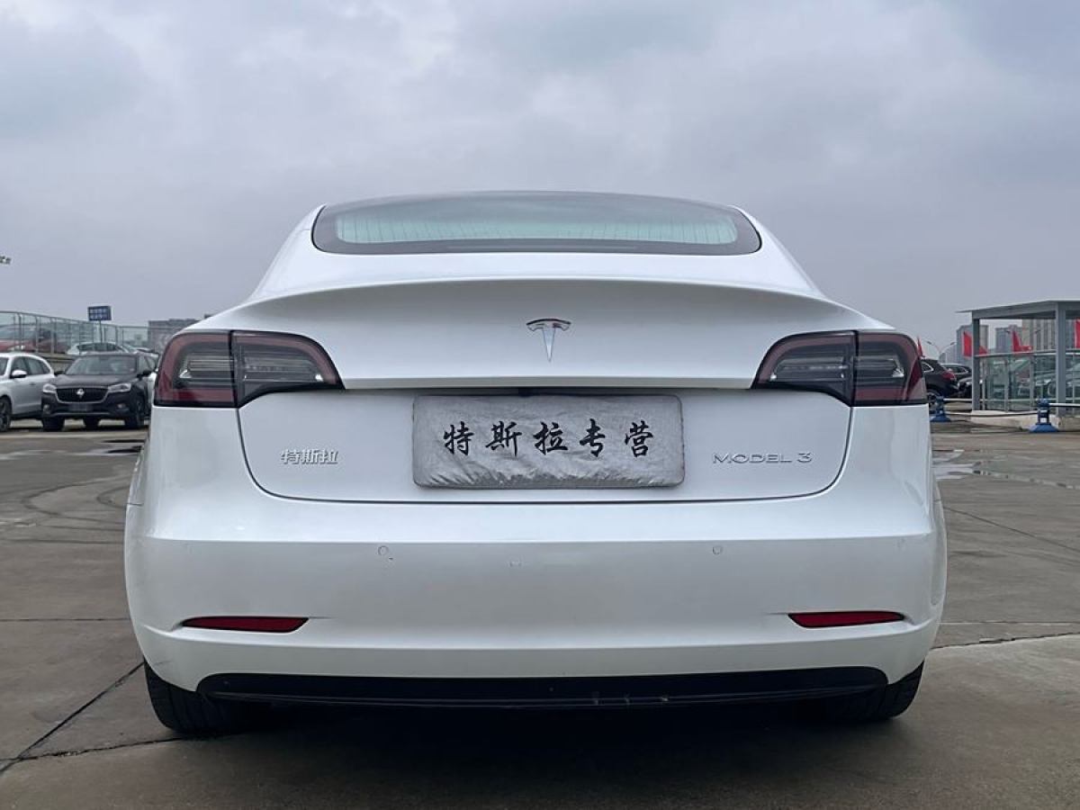 特斯拉 Model Y  2020款 改款 標(biāo)準(zhǔn)續(xù)航后驅(qū)升級(jí)版圖片