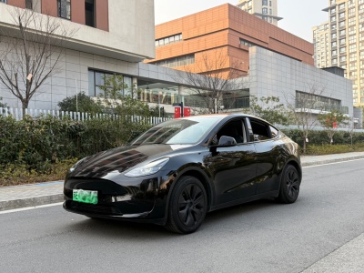 2024年1月 特斯拉 Model Y 后輪驅(qū)動版圖片