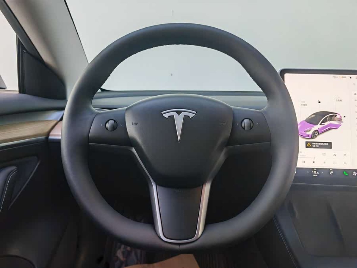 特斯拉 Model 3  2021款 改款 標(biāo)準(zhǔn)續(xù)航后驅(qū)升級版圖片