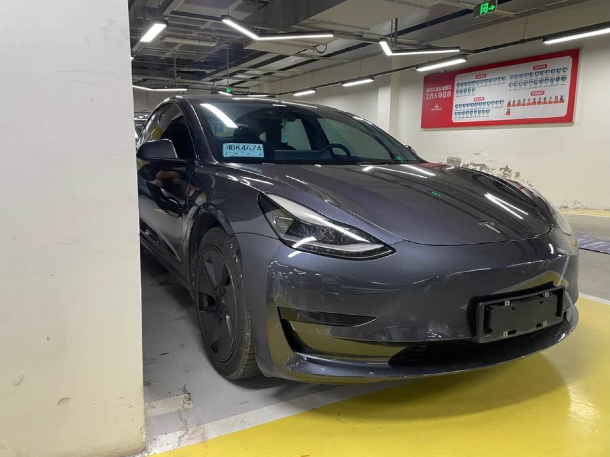 特斯拉 Model 3  2021款 標(biāo)準(zhǔn)續(xù)航后驅(qū)升級版 3D6圖片