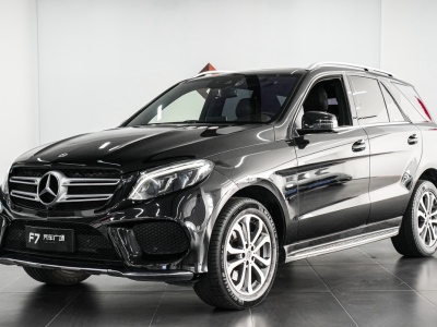 2019年01月 奔馳 奔馳GLE(進(jìn)口) GLE 320 4MATIC 動(dòng)感型臻藏版圖片