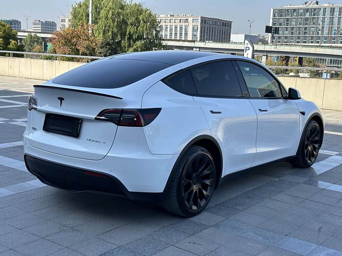 特斯拉 Model Y  2021款 改款 長續(xù)航全輪驅(qū)動版圖片