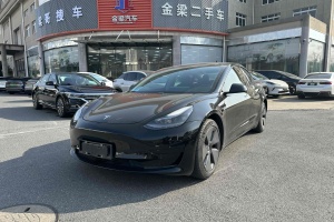 2021年2月 Model 3 特斯拉 標(biāo)準(zhǔn)續(xù)航后驅(qū)升級版 3D6