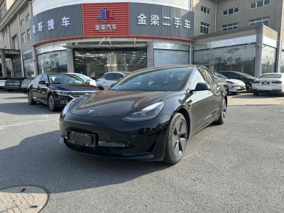 2021年2月 特斯拉 Model 3 標(biāo)準(zhǔn)續(xù)航后驅(qū)升級版 3D6圖片