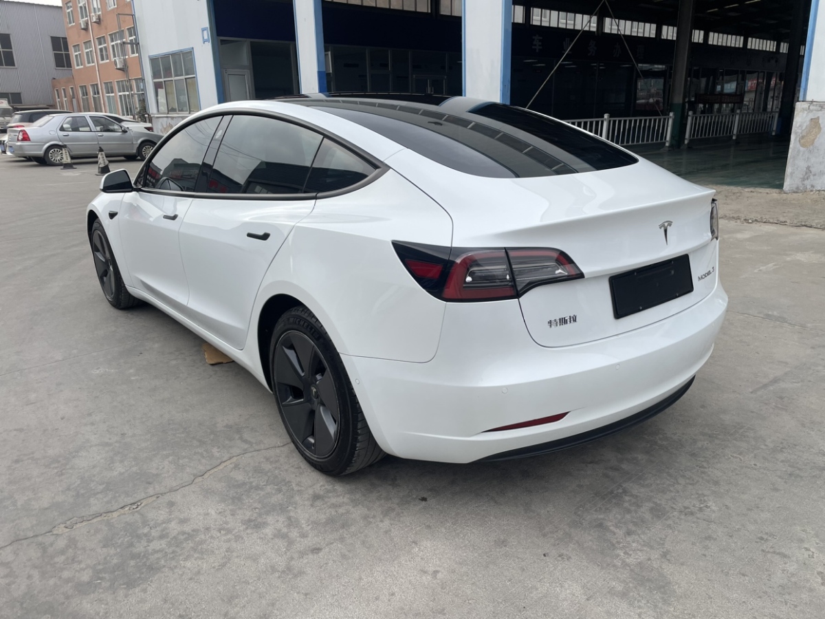 特斯拉 Model 3  2021款 標(biāo)準(zhǔn)續(xù)航后驅(qū)升級(jí)版 3D6圖片