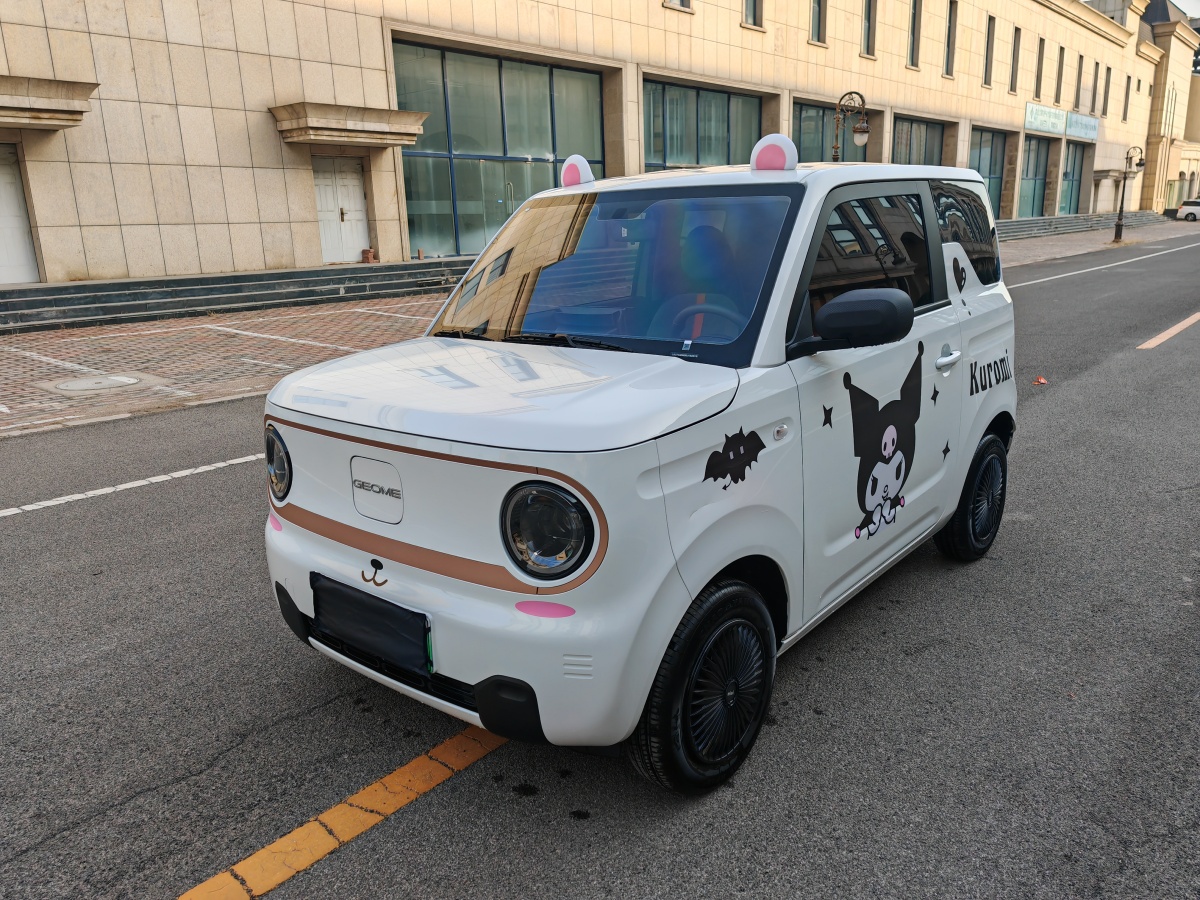 2024年10月吉利 熊貓mini  2023款 200km 耐力熊